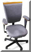 Ergo Posture Chair