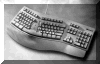 Microsoft Natural Keyboard