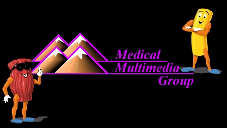 Medical Multimedia Group